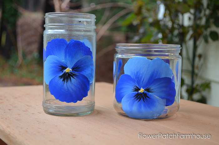 How to Paint Pansies on Glass