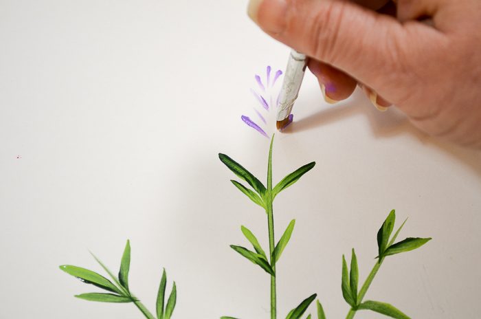 How to Paint Lavender top buds