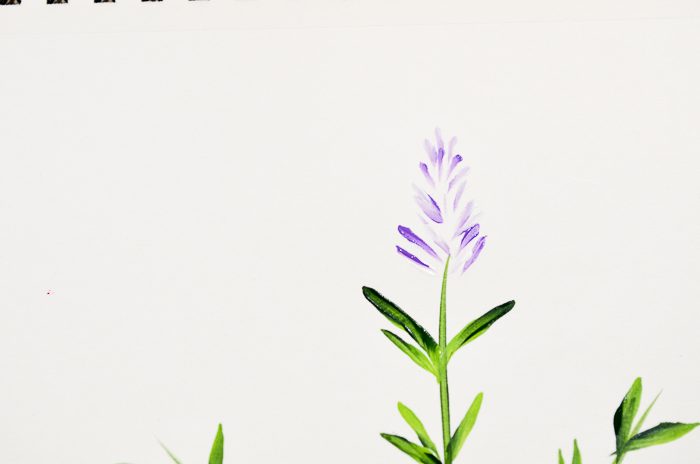 How to Paint Lavender buds on top of stem