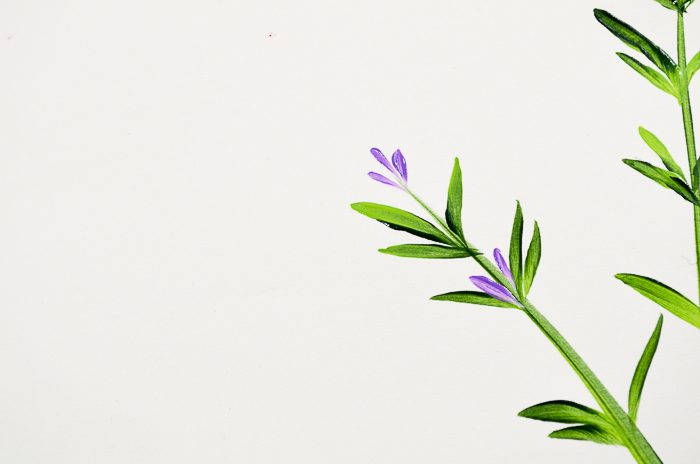 How to Paint Lavender side stems