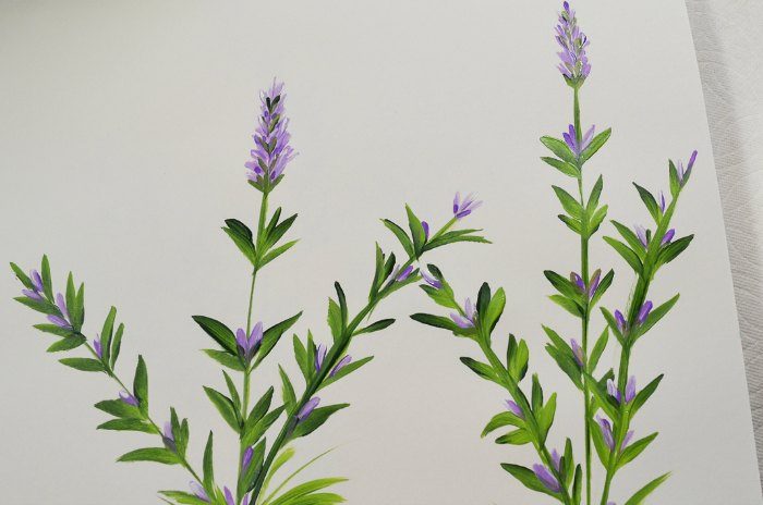 How to Paint Lavender, an easy painting tutorial step by step.