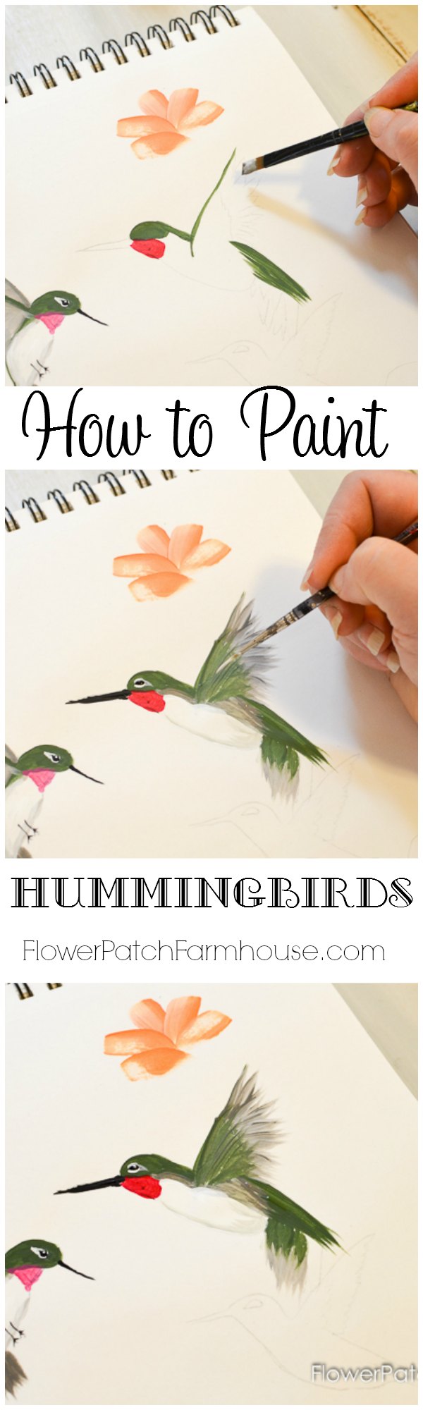 Paint a Hummingbird - Pamela Groppe Art - Acrylic Painting for Beginners