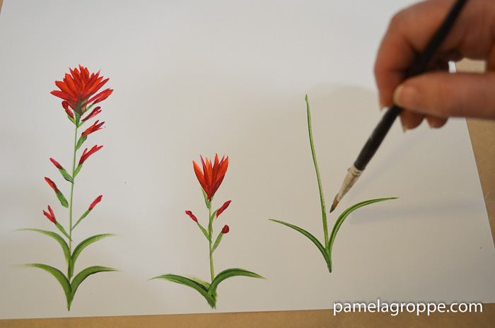 How to Paint Indian Paintbrush one stroke at a time in acrylics. Easy to paint tutorial with video