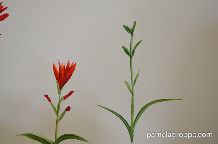 How to Paint Indian Paintbrush one stroke at a time in acrylics. Easy to paint tutorial with video. Stems