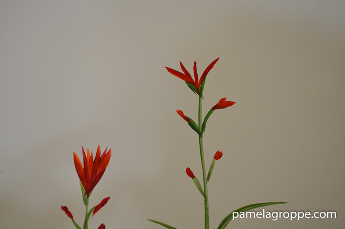 How to Paint Indian Paintbrush one stroke at a time in acrylics. Easy to paint tutorial with video. Buds