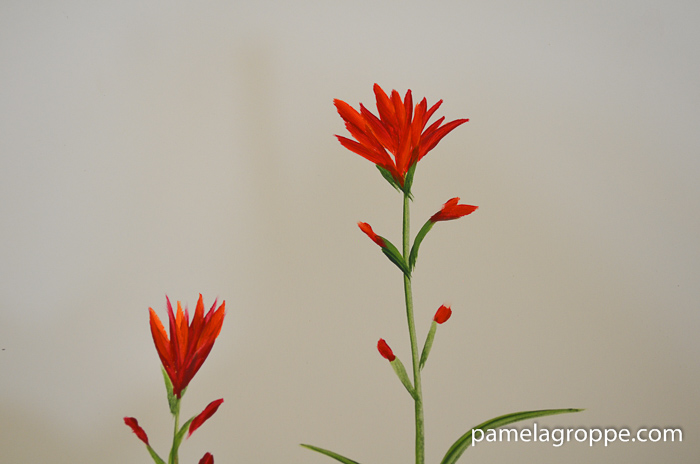 How to Paint Indian Paintbrush one stroke at a time in acrylics. Easy to paint tutorial with video