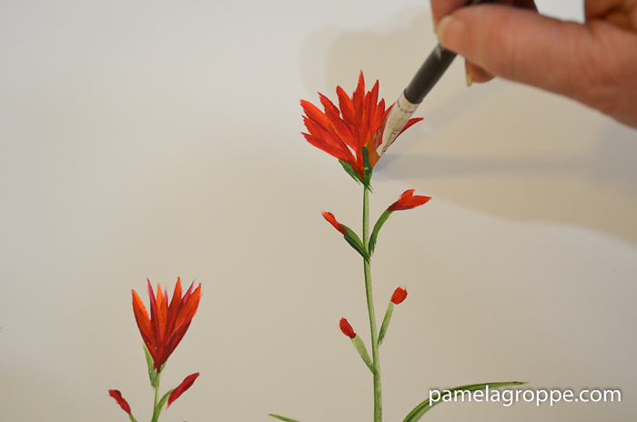 How to Paint Indian Paintbrush one stroke at a time in acrylics. Easy to paint tutorial with video. Layer petals