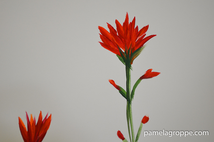 How to Paint Indian Paintbrush one stroke at a time in acrylics. Easy to paint tutorial with video