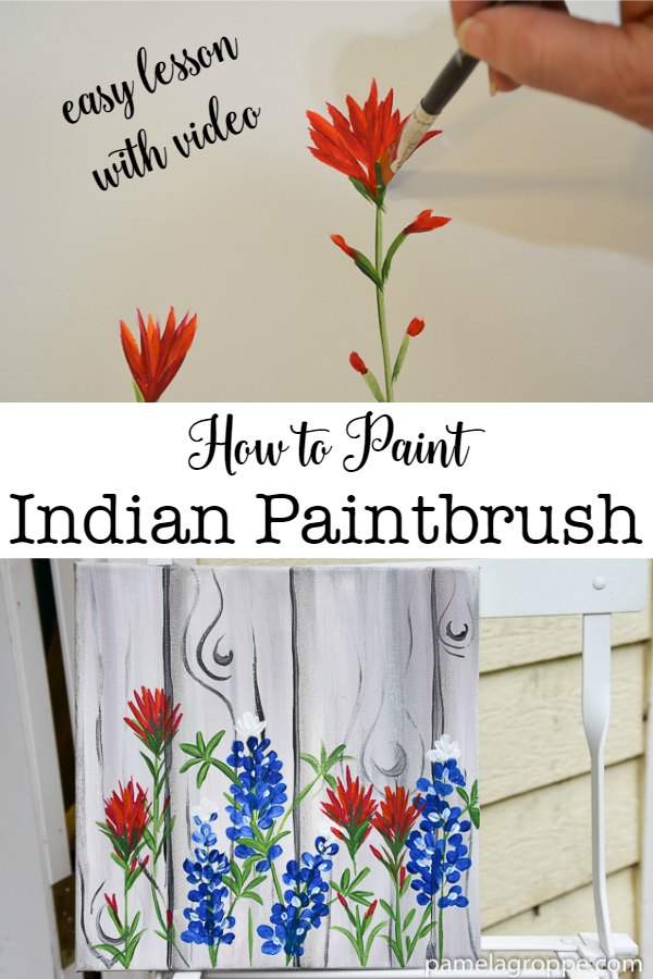 How to Paint Indian Paintbrush, one stroke at a time. An easy beginner painting lesson with step by step video! #painting #diydecor #acrylics