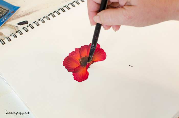 Lower petal poppy painting