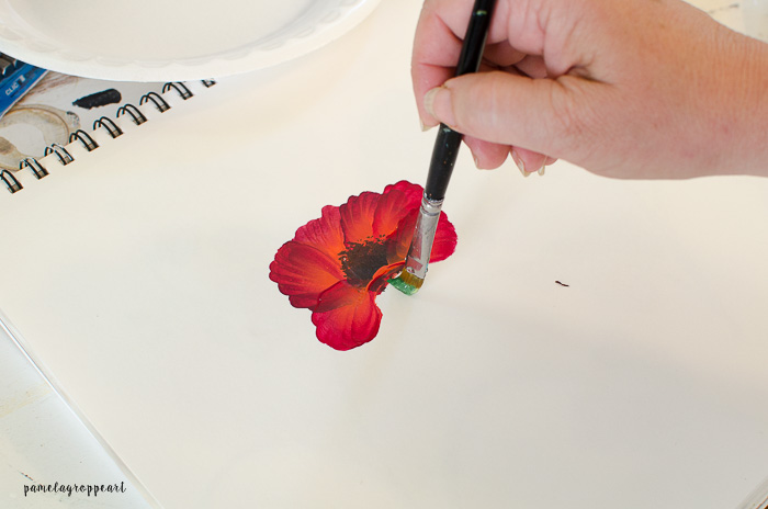 Paint Poppy Stem