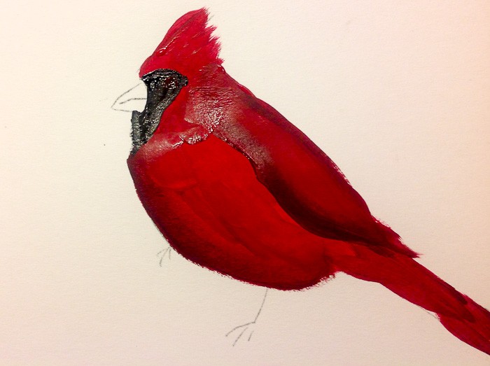 How to Paint a Cardinal in Acrylics