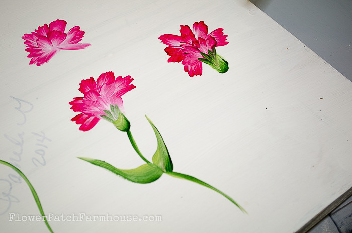 Calyx attaches to petals, painting a carnation, pamela groppe art