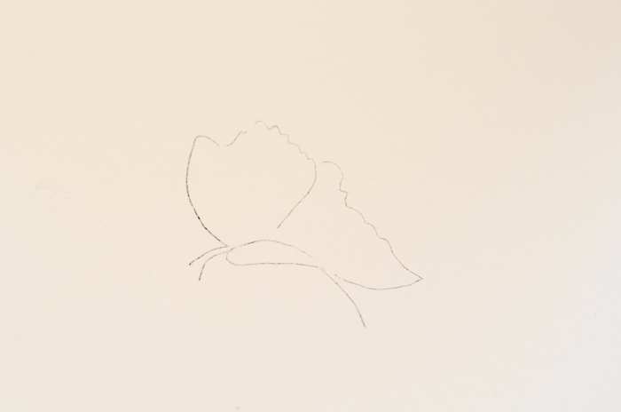 Outline of butterfly to be painted