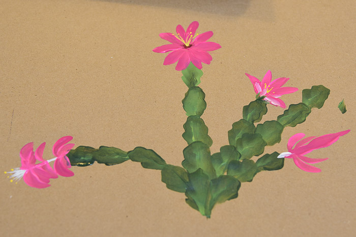 hand painted Christmas Cactus on brown paper, how to paint a christmas cactus, Pamela Groppe Art