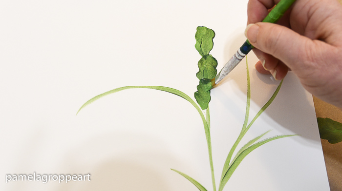 Painting a Christmas Cactus leaves, pamelagroppe.com