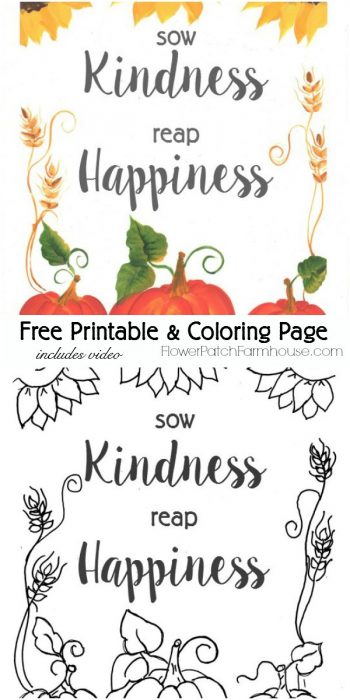 Printable Fall coloring page, colored and blank, pamela groppe dot com