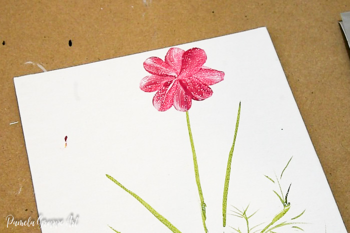 Paint a cosmos, petals and foliage