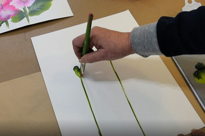 draw hollyhock stems with brush and add buds, pamela groppe art