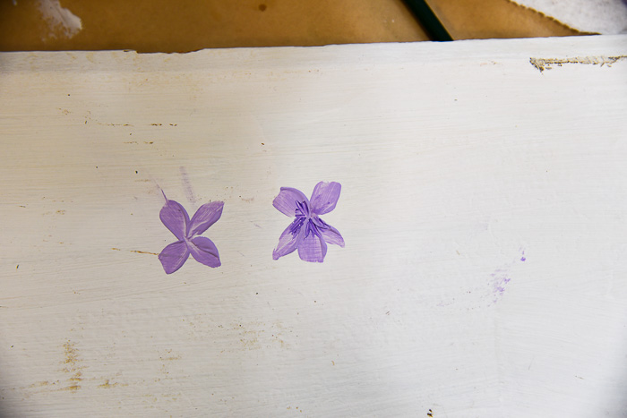 Paint whisker details on centers of violets