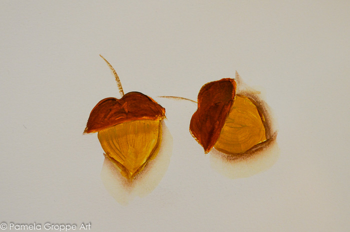 Shadow along edge of acorn