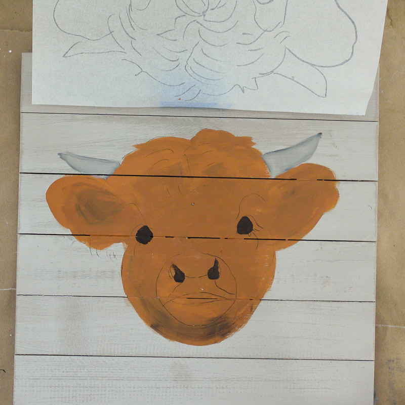 Paint the baby higland cow nose and eyes