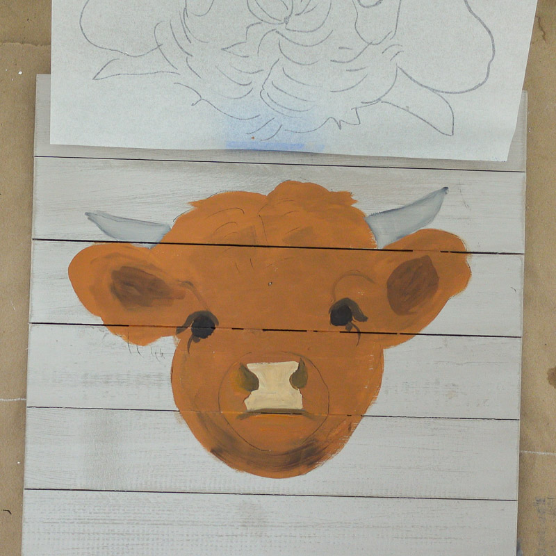 highlas cow painting muzzle step